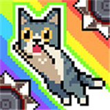 喵星人跳跃中文版