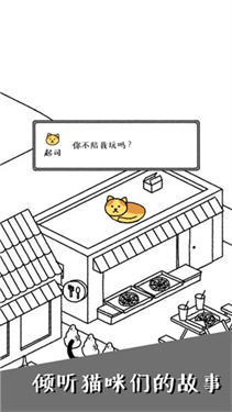 猫咪真的很可爱