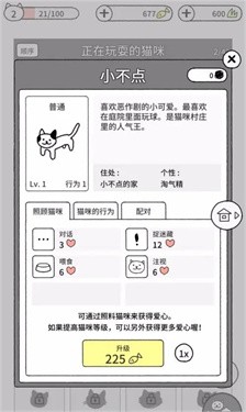 猫咪真的很可爱