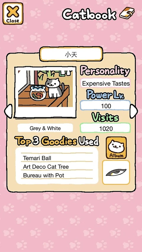 猫咪收集2