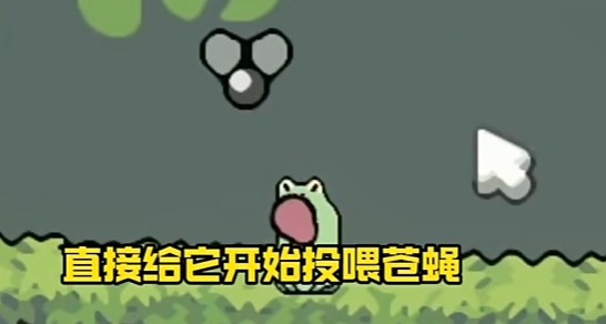 蛙蛙养殖场中文版