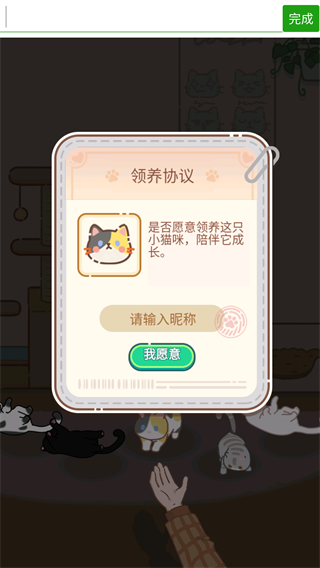 领养一只流浪猫