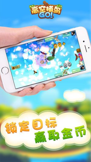 高空捕鸟