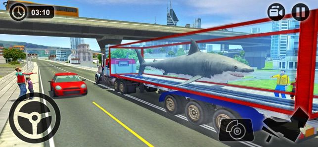 水生动物运输车