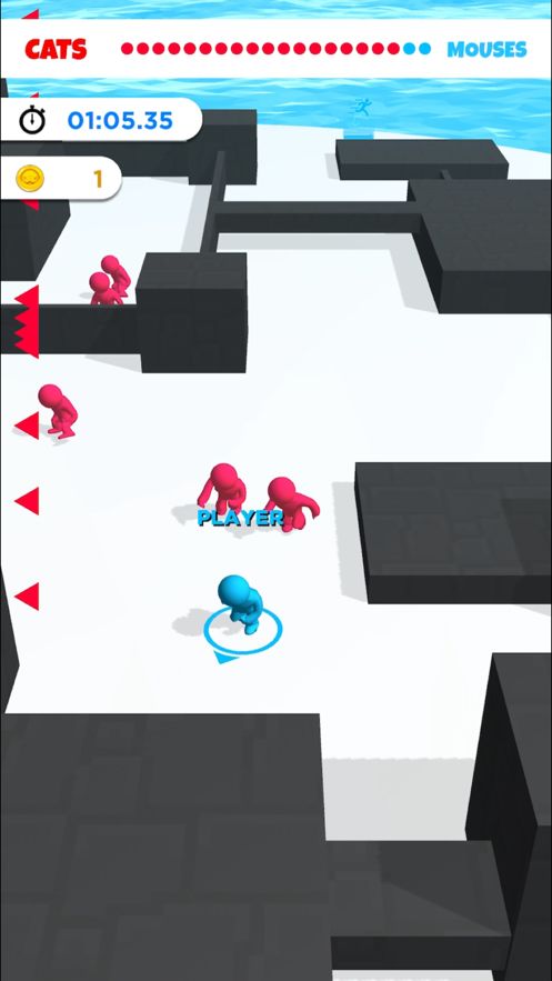 Cat and Mouse.io