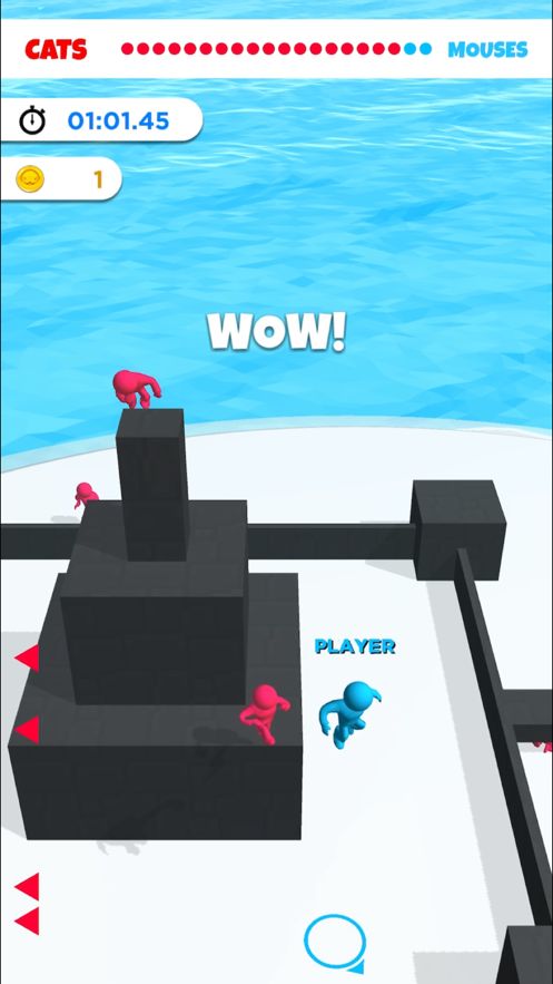 Cat and Mouse.io