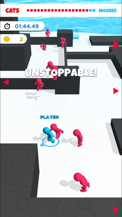 Cat and Mouse.io
