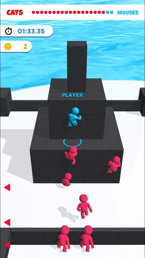 Cat and Mouse.io