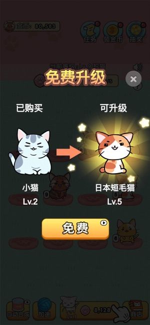 我的小猫花花