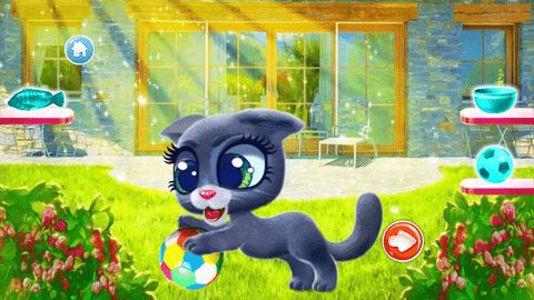 小猫咪爱打扮