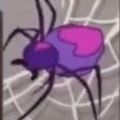 打开钥匙杀死蜘蛛