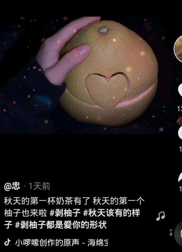 冬天的第一个柚子游戏正式版