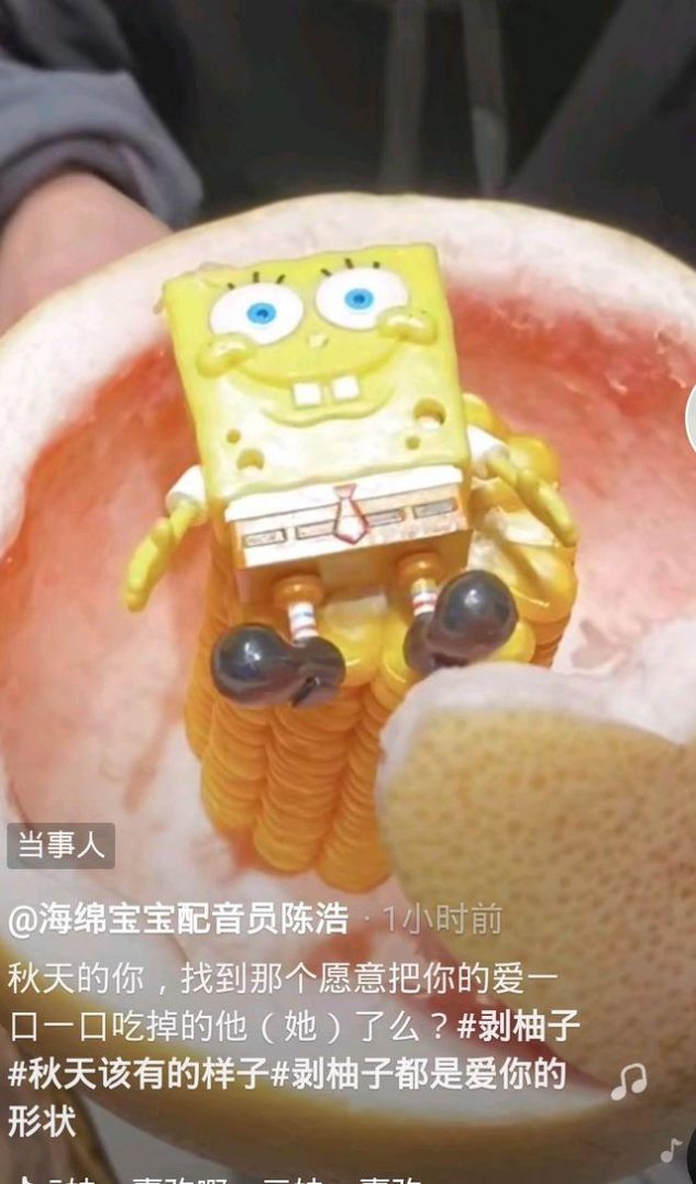 冬天的第一个柚子游戏正式版