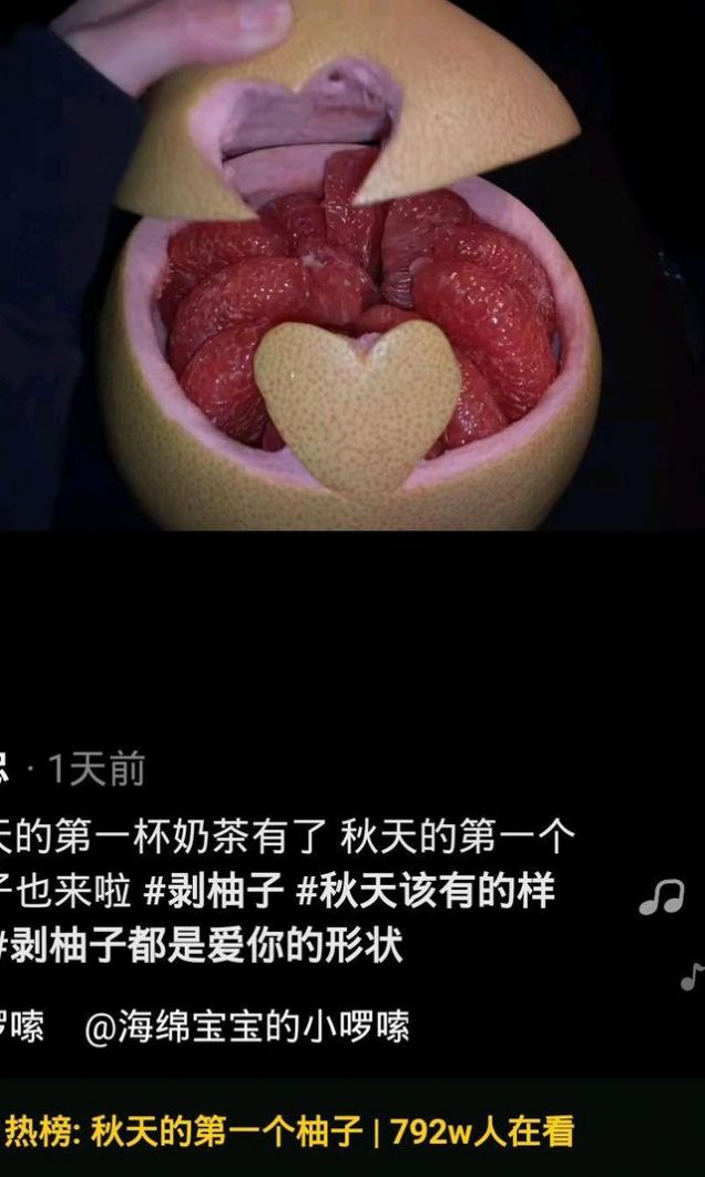 冬天的第一个柚子游戏正式版