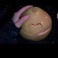 冬天的第一个柚子游戏正式版