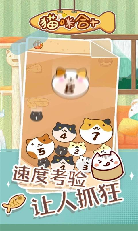 猫咪合十游戏版