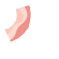 bacon游戏