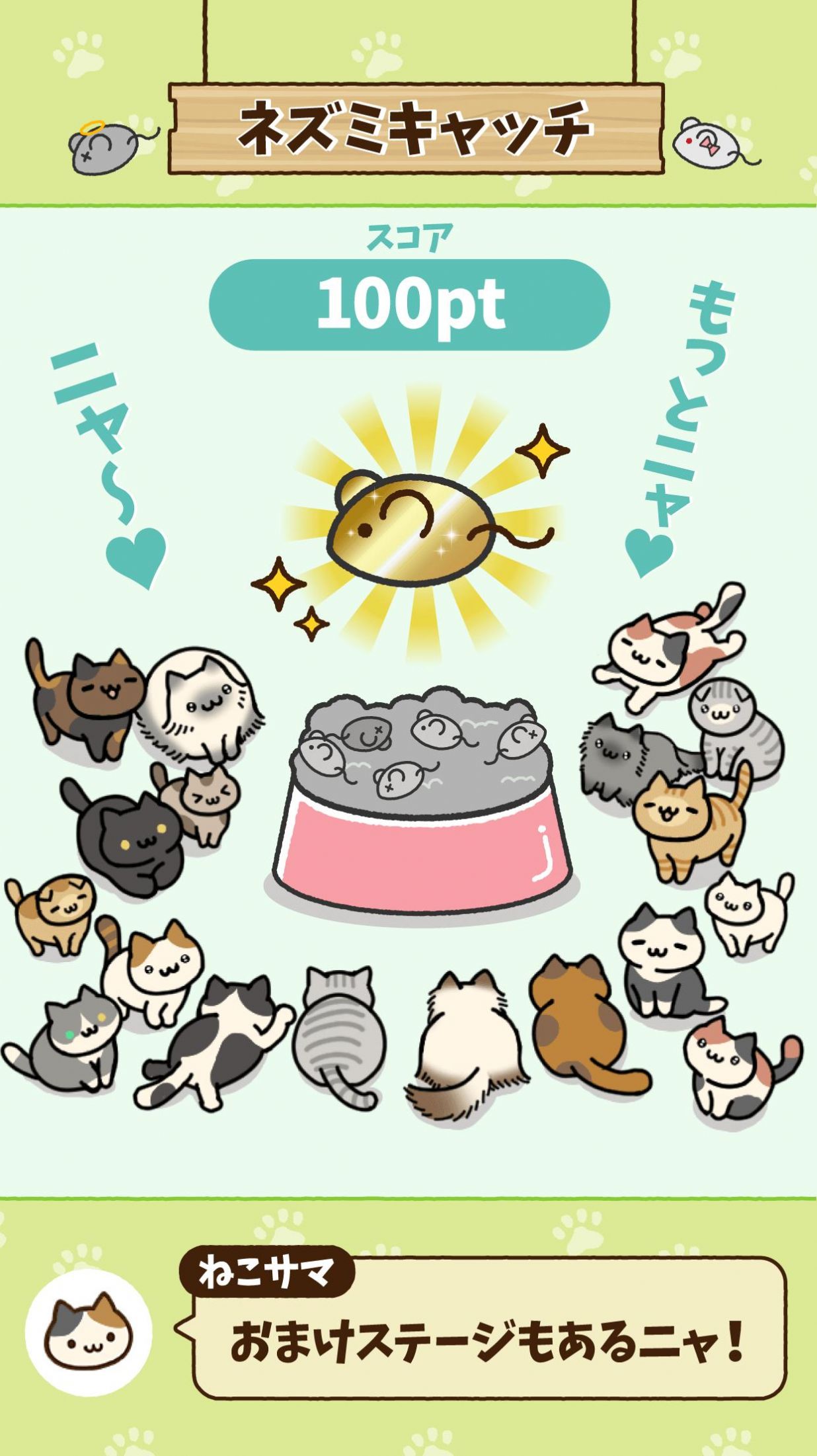 寻找猫咪游戏版