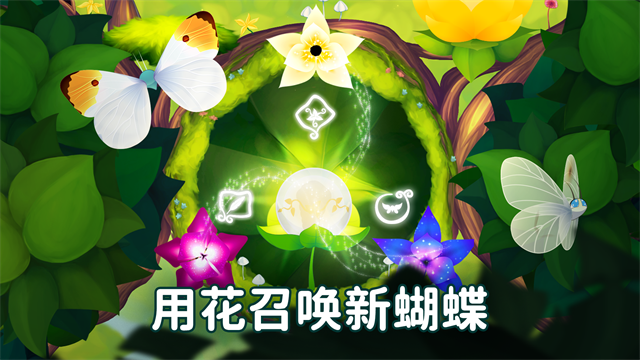 彩翼蝴蝶保护区