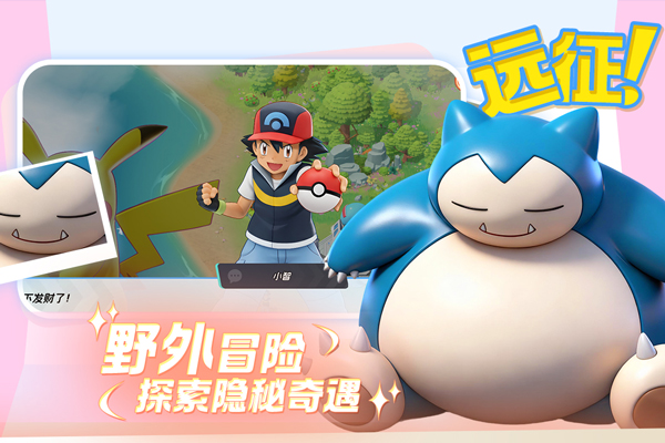 宠物集结