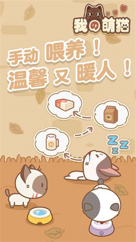 我的萌猫