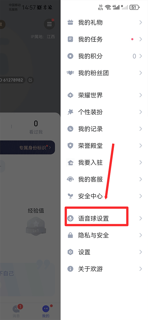 欢游tt语音