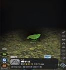 从细胞到奇点进化永无止境