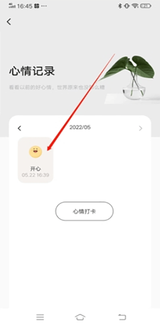 岁岁