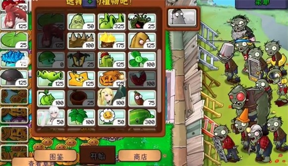 植物娘大战僵尸庄不纯