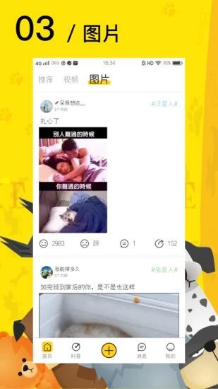 爱宠星球手机版app下载