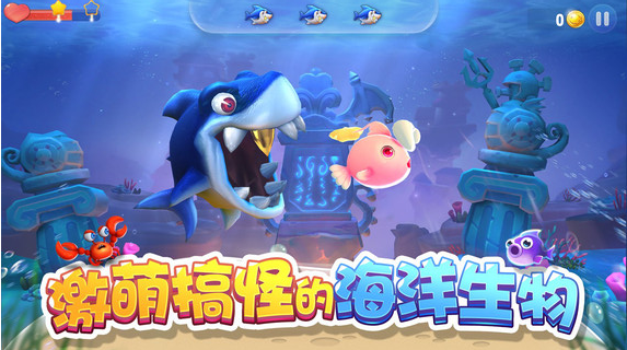 大鱼来了