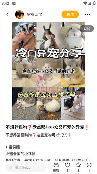 宠物元
