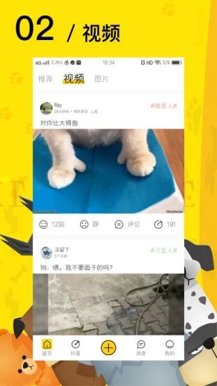 爱宠星球手机版app下载