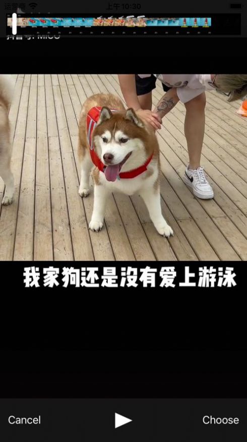 看吧播放器pro