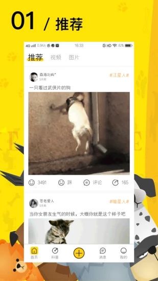 爱宠星球手机版app下载