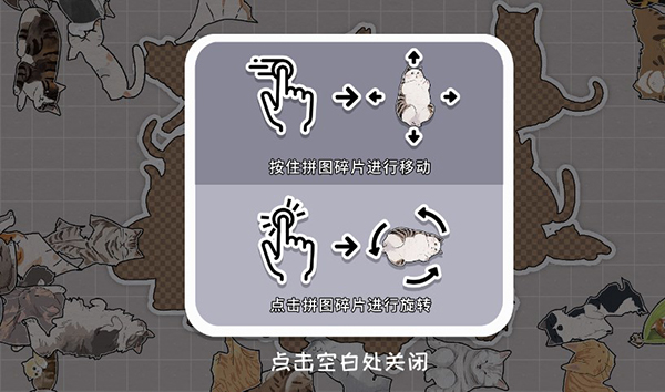 挤在一起的猫猫中文版