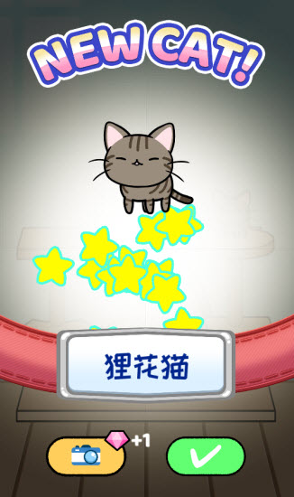 快乐撸猫