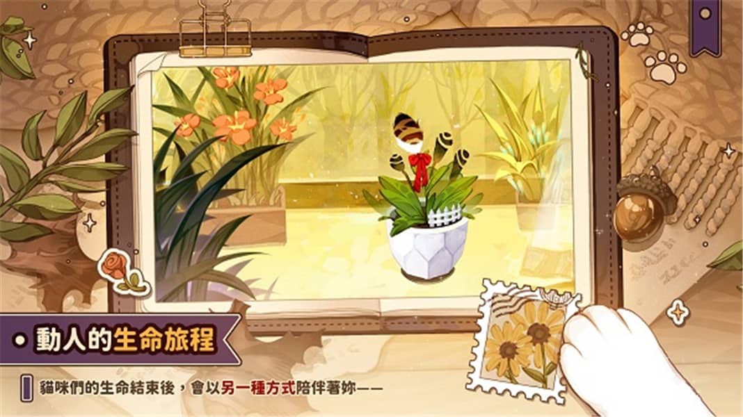 猫逝汉化版