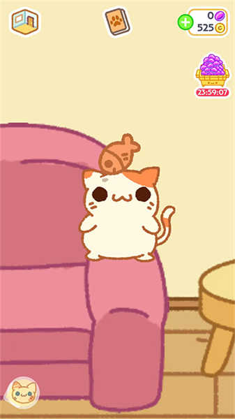 小偷猫2