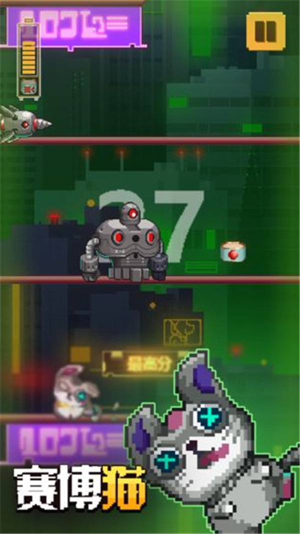 赛博猫