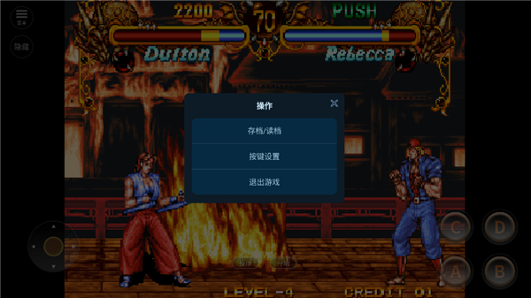 格斗双截龙