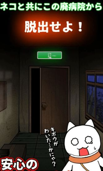白猫与废弃医院
