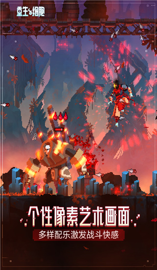 重生细胞B服
