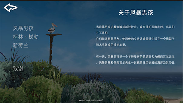 男孩与鹈鹕