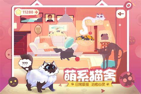 ReeVoo左瞄右喵
