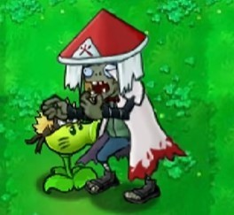 植物大战僵尸火影版
