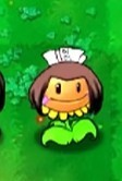 植物大战僵尸火影版