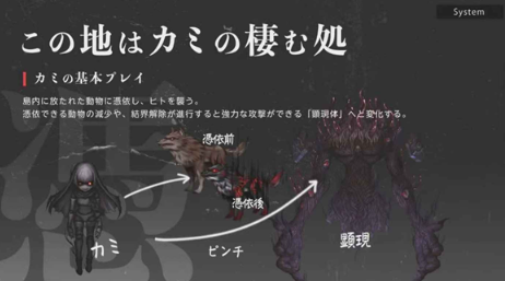 神流岛轮回的巫女