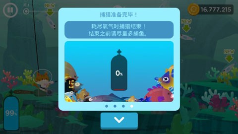 爱捉鱼的猫