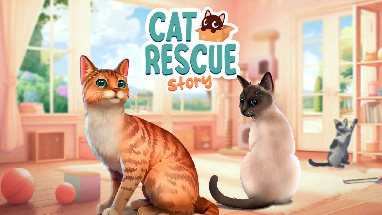 猫咪救援故事